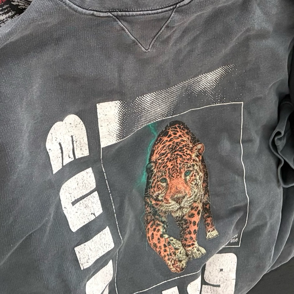 Anine Bing sweatshirt